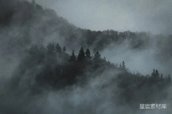 高清摄影 一座被雾笼罩的山峦，前景中有树木。