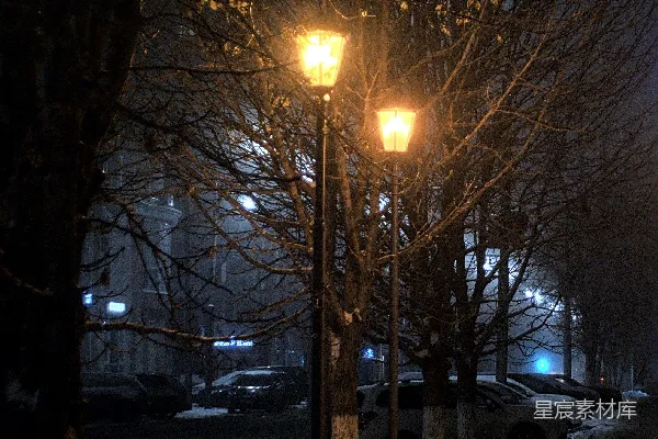 高清摄影 夜间路旁的裸树