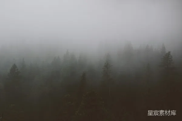 高清摄影 雾中绿树的 aerial 视频照片
