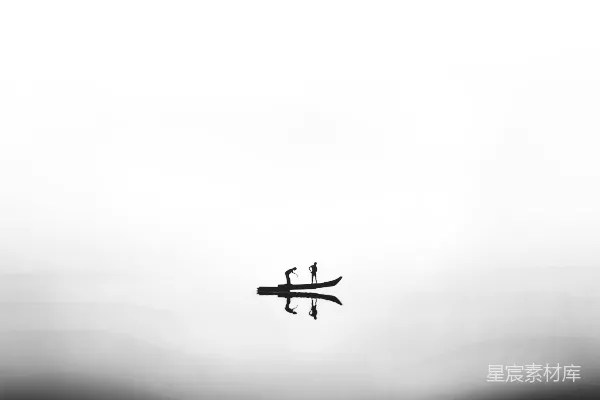 高清摄影 黑白相间的鸟在飞翔