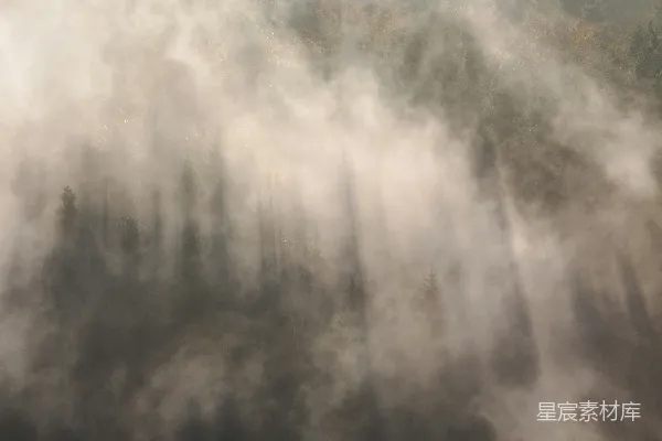 高清摄影 罗坦曼斯多夫一片林中弥漫着厚重的雾气。