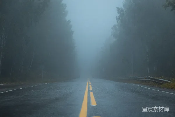 高清摄影 森林间的空旷小路