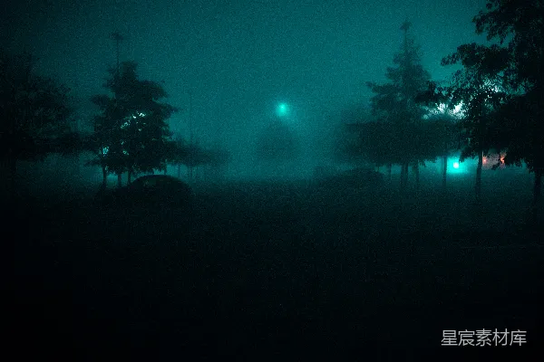 高清摄影 一个有树木和街灯的雾夜