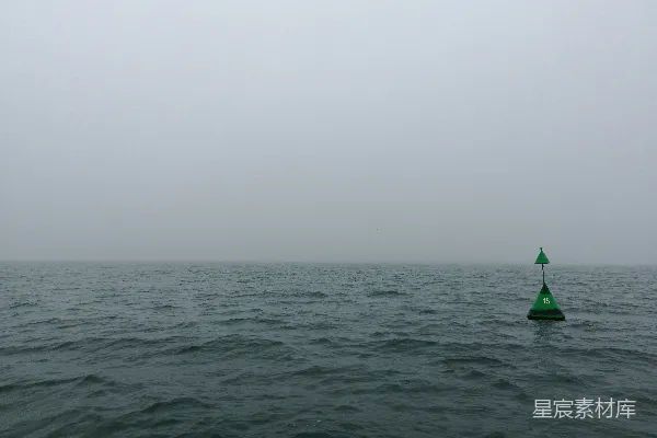 高清摄影 水体上绿色物体的近景拍摄