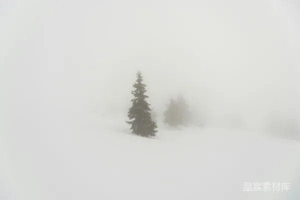高清摄影 覆盖着白雪的田野，远处是树木。