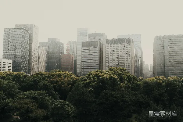 高清摄影 白天绿树环绕高层建筑附近