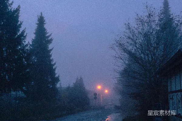 高清摄影 白天树荫下的房子附近的绿色树木