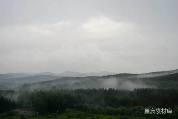 高清摄影 远处山峦间的一片雾中森林景象