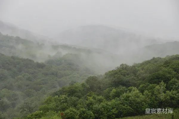 高清摄影 山间雾气缭绕，前景有树木。