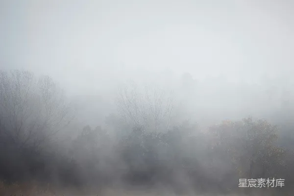 高清摄影 背景中有树木的雾气笼罩的田野