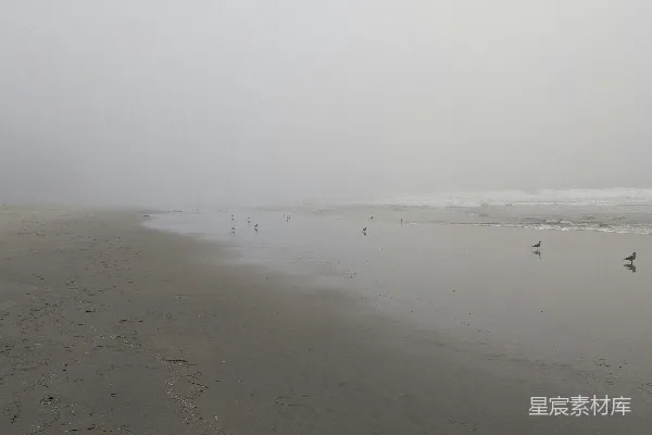高清摄影 白天人在海滩上行走