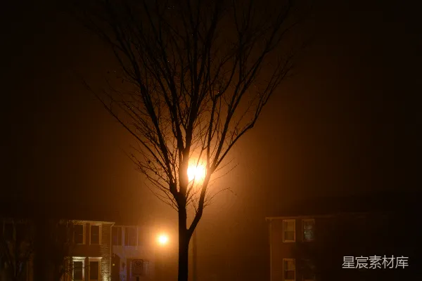 高清摄影 街灯在一个雾茫茫的夜晚照亮街道。
