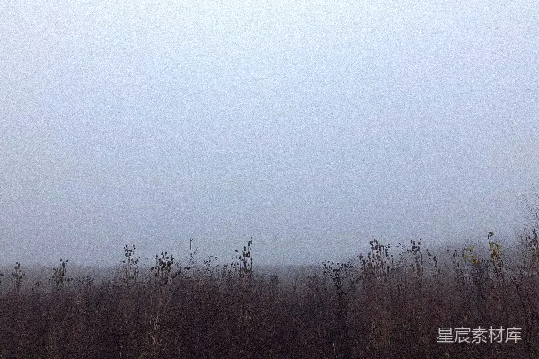 高清摄影 白天白天下方有棕色草地的田野