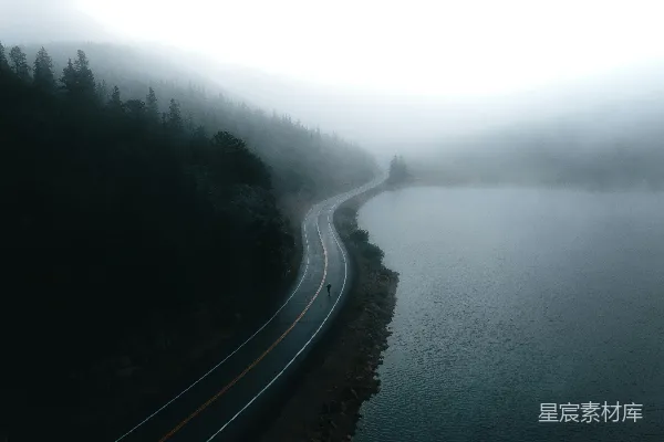 高清摄影 一条布满两侧树木的道路