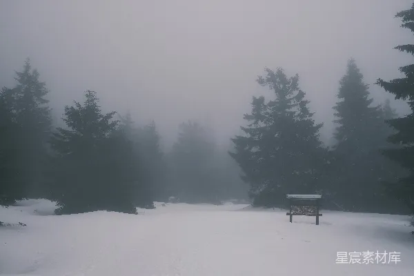 高清摄影 一棵木椅坐在覆盖着积雪的森林中央。