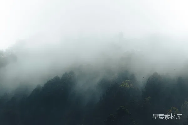 高清摄影 前景中有树的朦胧山峦
