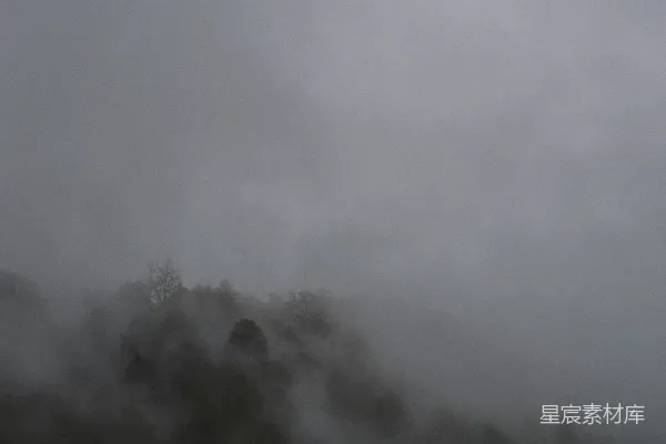 高清摄影 一座被雾环绕的山坡，背景是树木。