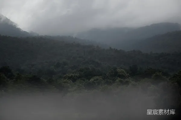 高清摄影 一片环绕着森林的大片水域