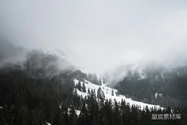 高清摄影 覆盖着白雪的山上的翠绿松树