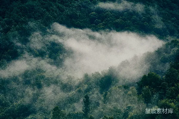 高清摄影 绿树掩映下的白云
