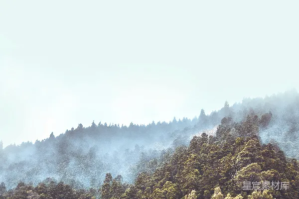 高清摄影 山间一片树林，空气中有雾。