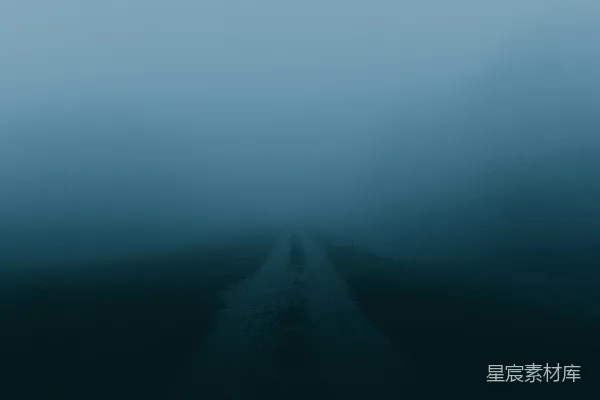 高清摄影 覆盖道路的雾气