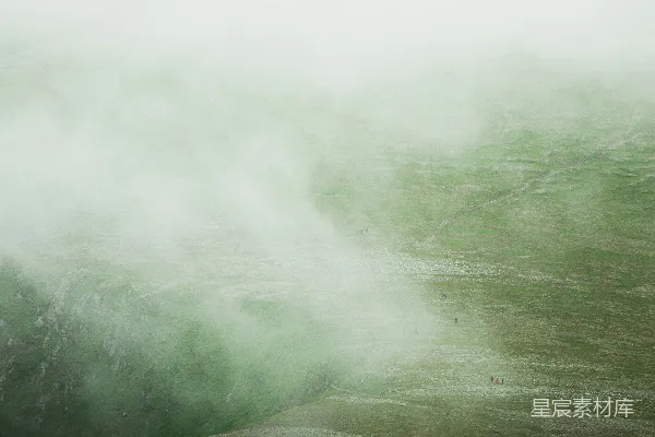 高清摄影 一幅前景有一棵树木的雾中景象