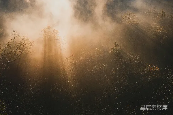 高清摄影 白天绿树下的蓝天