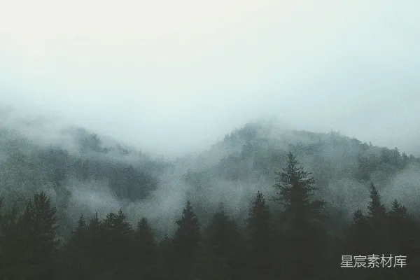 高清摄影 绿树环绕着薄雾