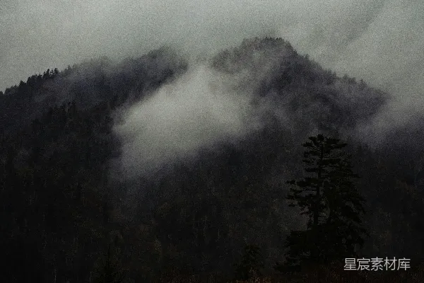 高清摄影 云雾缭绕的山林中的景象在一片阴天中