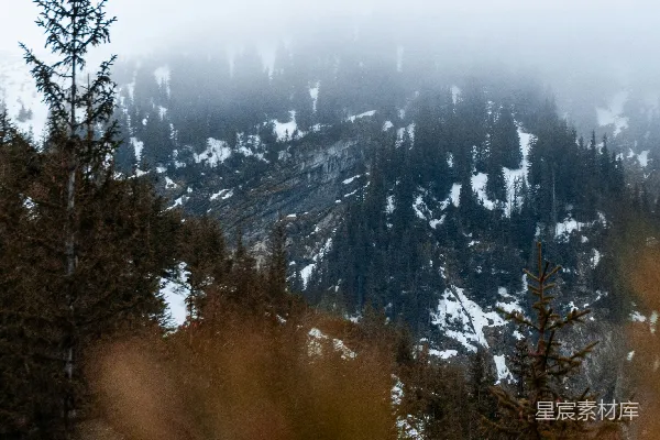 高清摄影 白天绿树环绕着被白雪覆盖的山峦