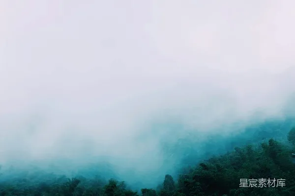 高清摄影 绿叶树木映衬着白色的云朵