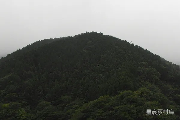 高清摄影 一片雾蒙蒙的山林