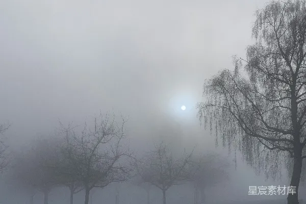 高清摄影 一个模糊的天气中有树木和一个小凳子在前景。