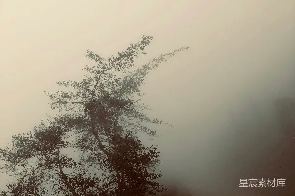 高清摄影 被雾环绕的道路