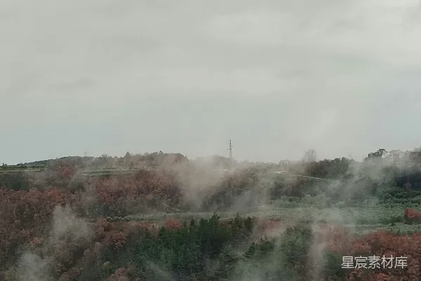 高清摄影 前景中树木和灌木丛的雾气缭绕景色