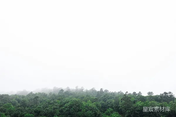 高清摄影 背景有一片绿油油的大草地，树木环绕其旁。