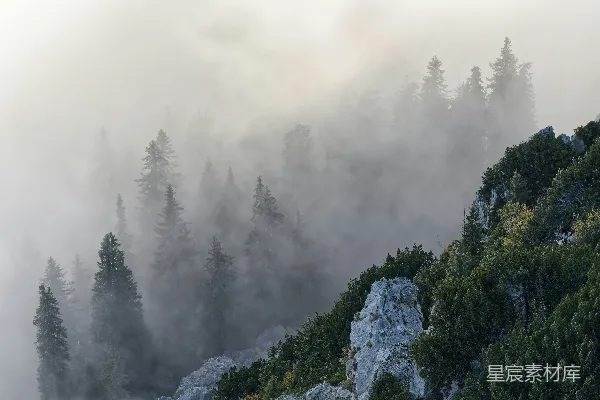 高清摄影 有树木环绕的一座雾蒙蒙的山峰