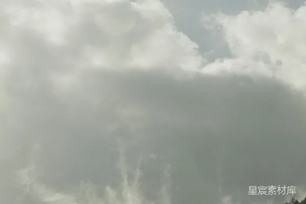 高清摄影 高空飞行中的飞机掠过一片森林