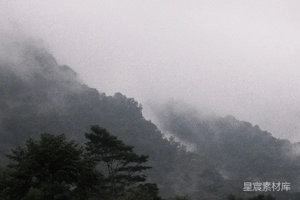 高清摄影 一座被雾和云层覆盖的山峦，前景中有树木。