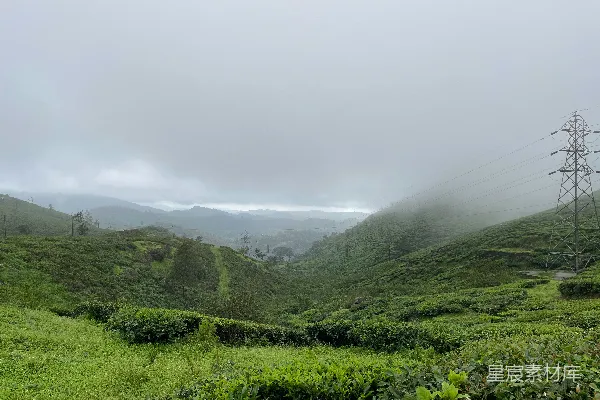 高清摄影 一片郁郁葱葱的山坡被雾和云遮盖着。