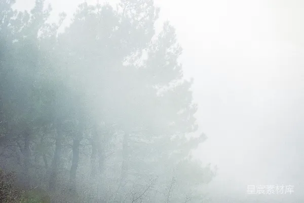 高清摄影 一个有树木环绕的山坡上的雾气弥漫之地