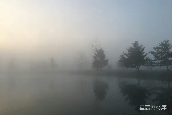 高清摄影 树旁的水域