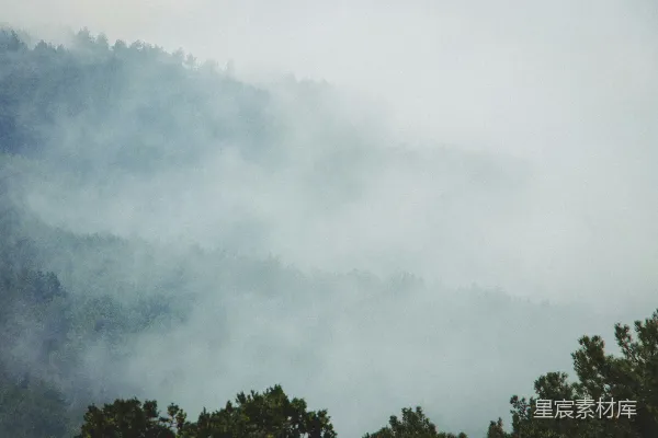 高清摄影 山中雾气弥漫，前景为树木。