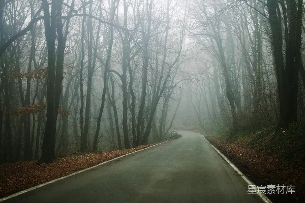 高清摄影 空旷的道路