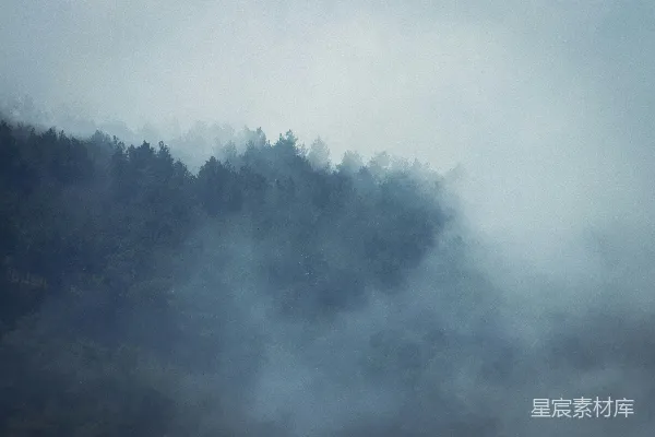 高清摄影 山峦被雾气覆盖，背景中有树木。