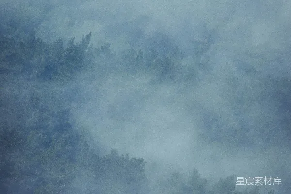 高清摄影 一架飞机飞过一片被浓雾覆盖的森林
