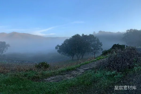 高清摄影 山脚下白天近处的绿草 fields
