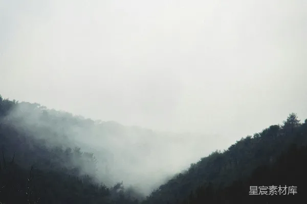 高清摄影 山间雾气缭绕，前景有树木。