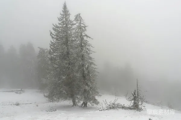 高清摄影 一片雪覆盖的田野与树木